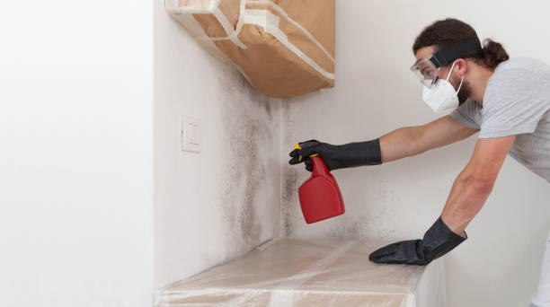 Professional Bathroom Mold Removal technician working in Lake Leelanau, MI